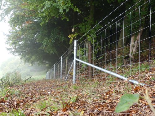 Triple X Fencing