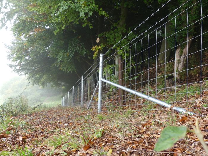 Triple X Fencing