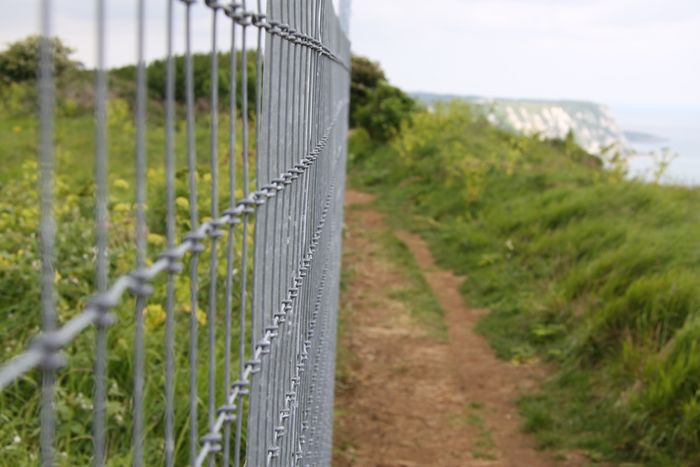 X fence wire netting