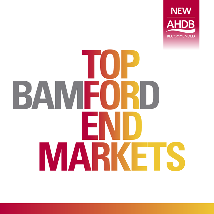 Bamford