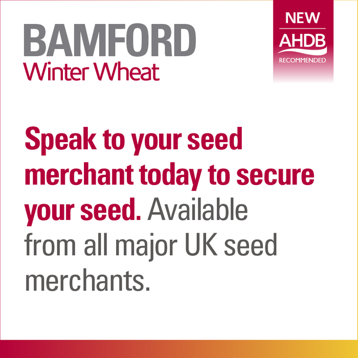 Bamford