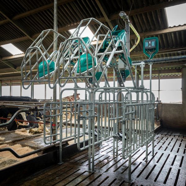 CowToilet