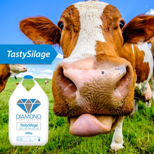 TastySilage