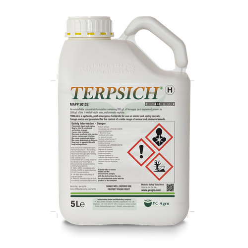 TERPSICH