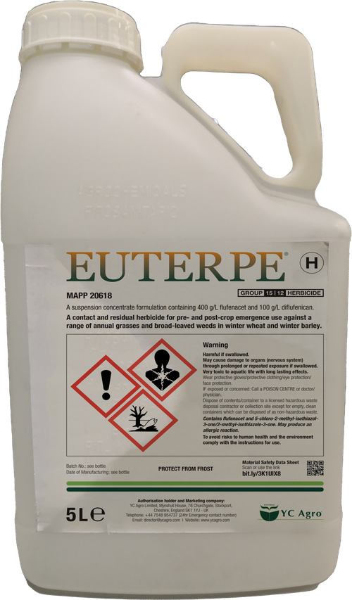 EUTERPE