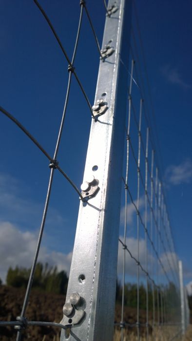 Clipex posts