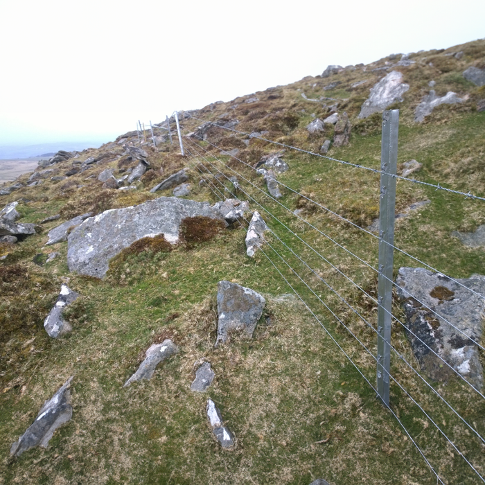 Clipex posts