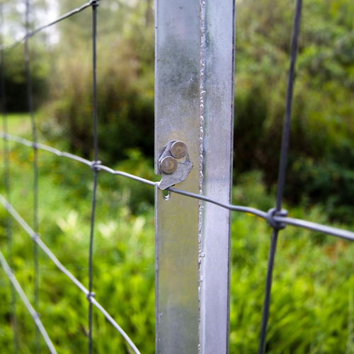 Clipex posts