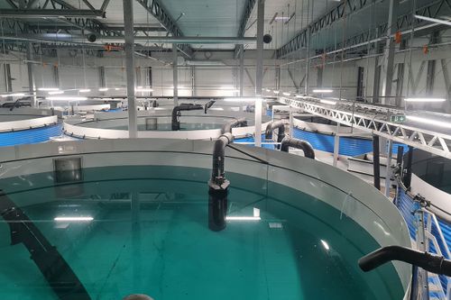 Fish Farms