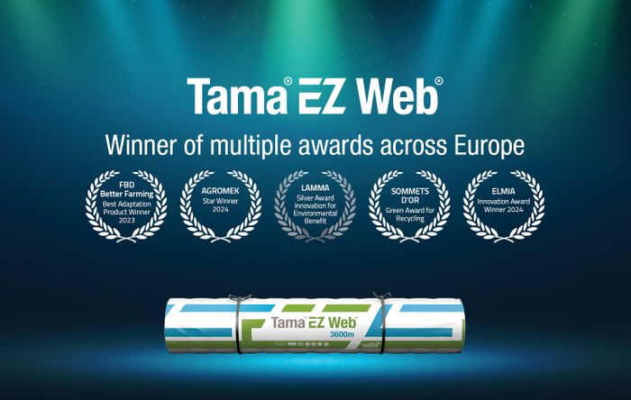 EZ Web