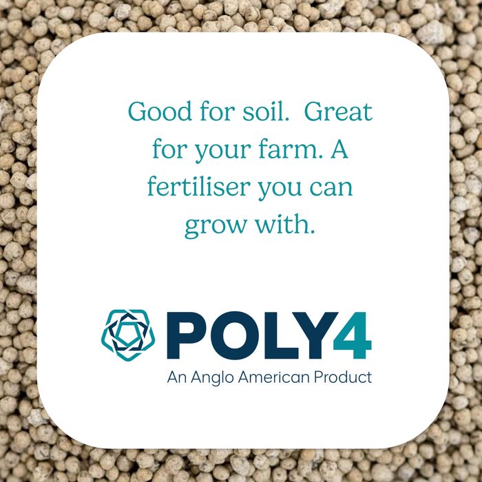 POLY4