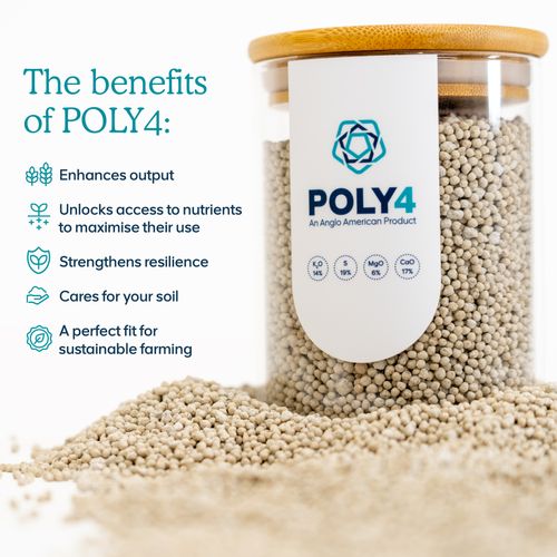 POLY4