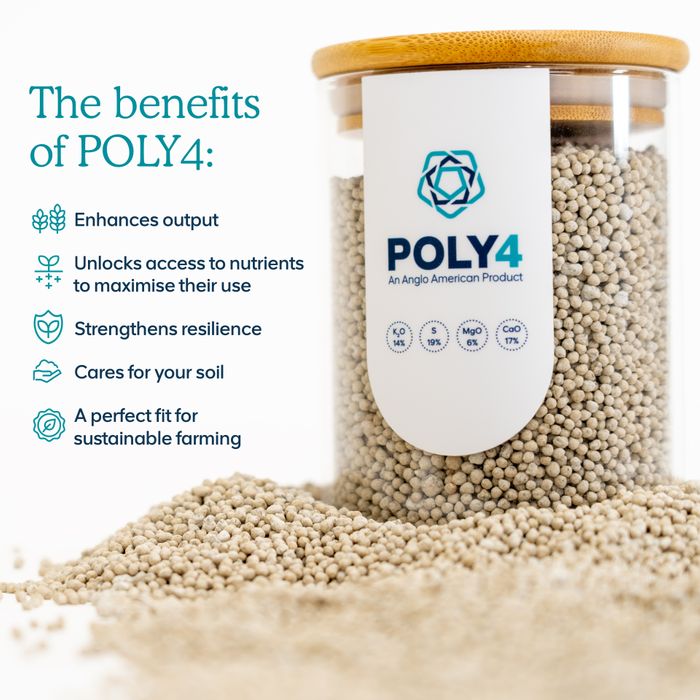 POLY4