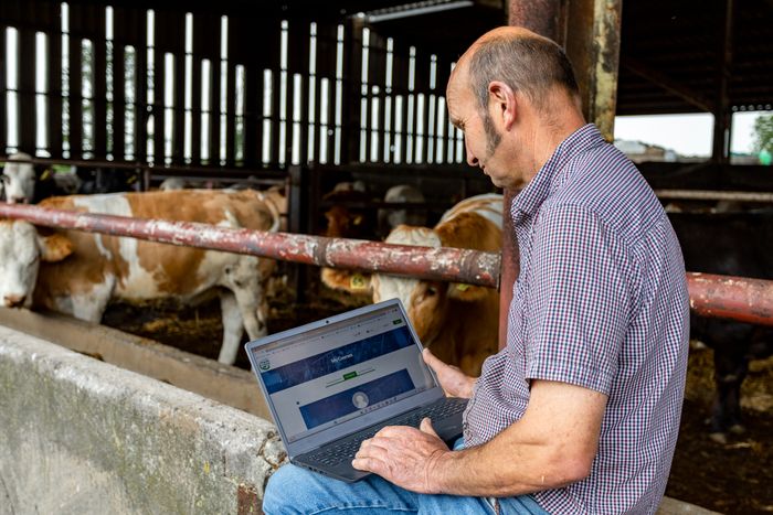 CowRecovery System 