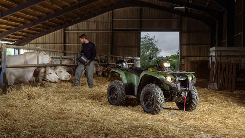 Kodiak 450 EPS