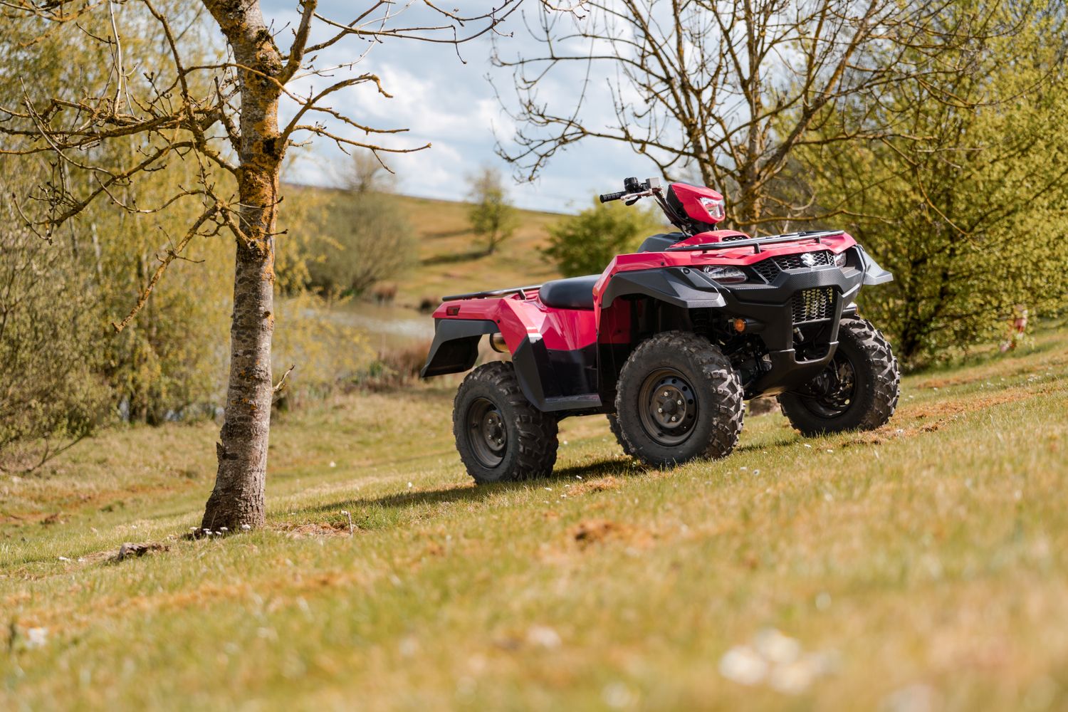 Cover image - Suzuki GB