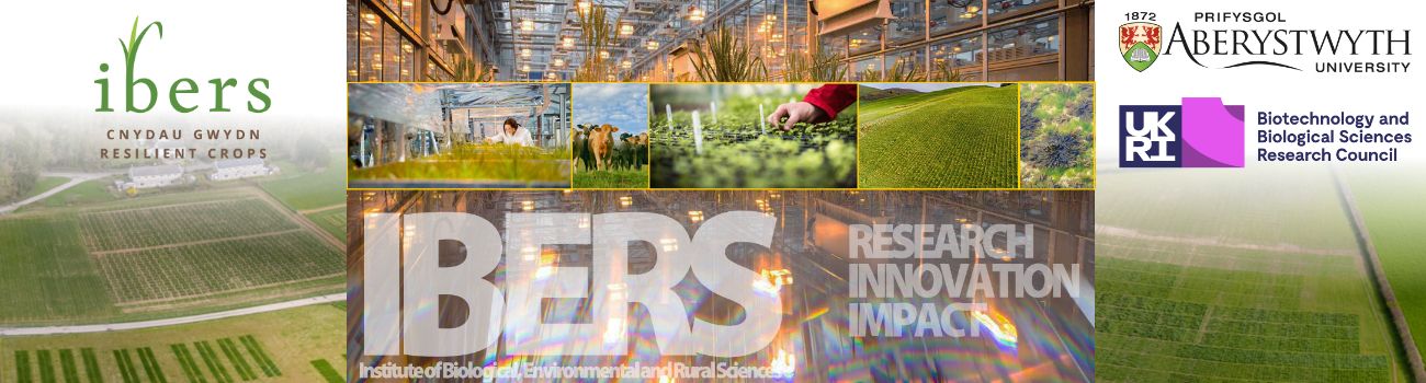 Cover image - IBERS Aberystwyth University