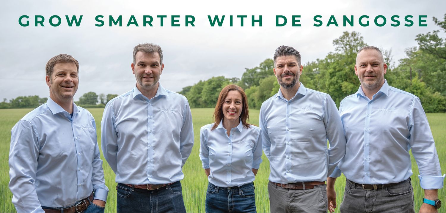 Cover image - De Sangosse Ltd