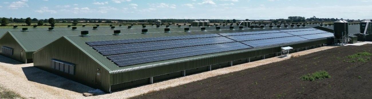 Cover image - Westwood Energy Ltd