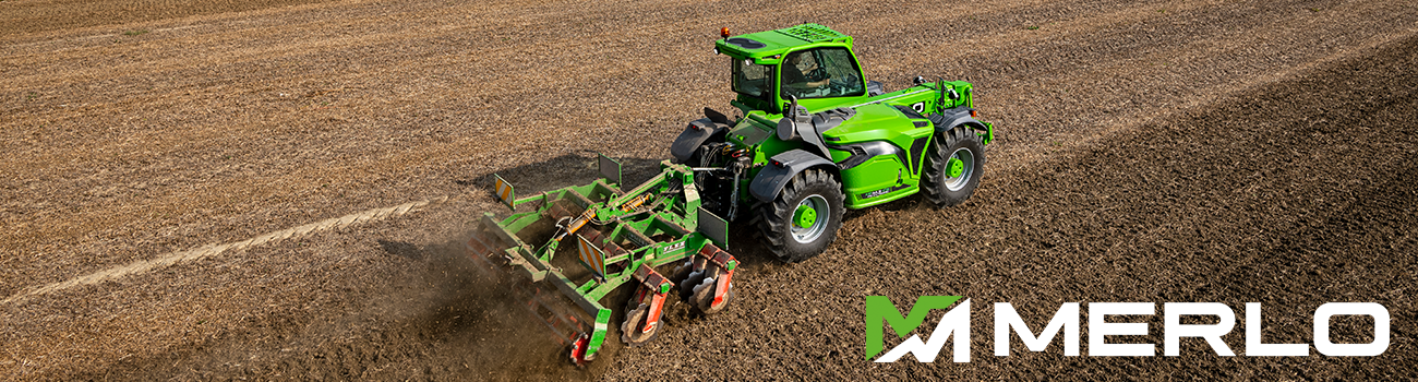 Cover image - Merlo