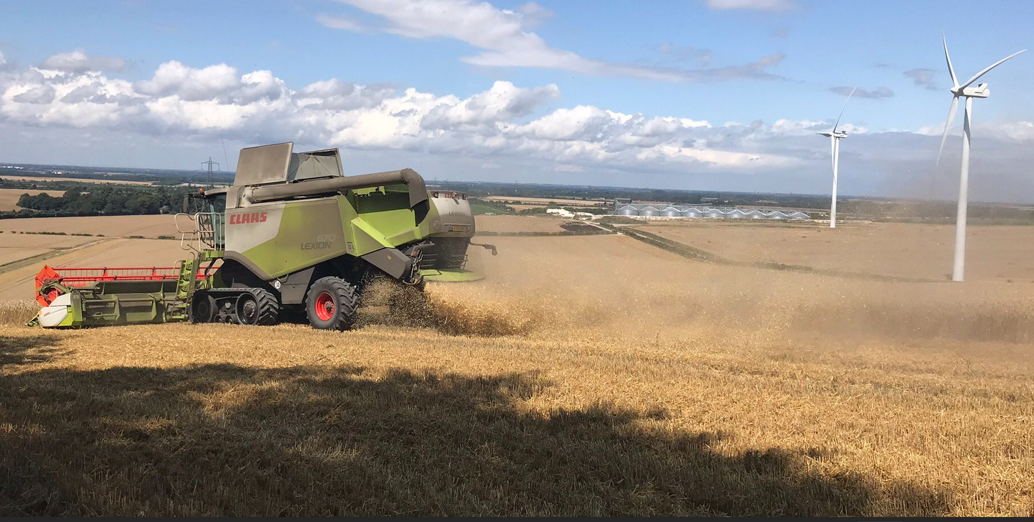 Cover image - Camgrain