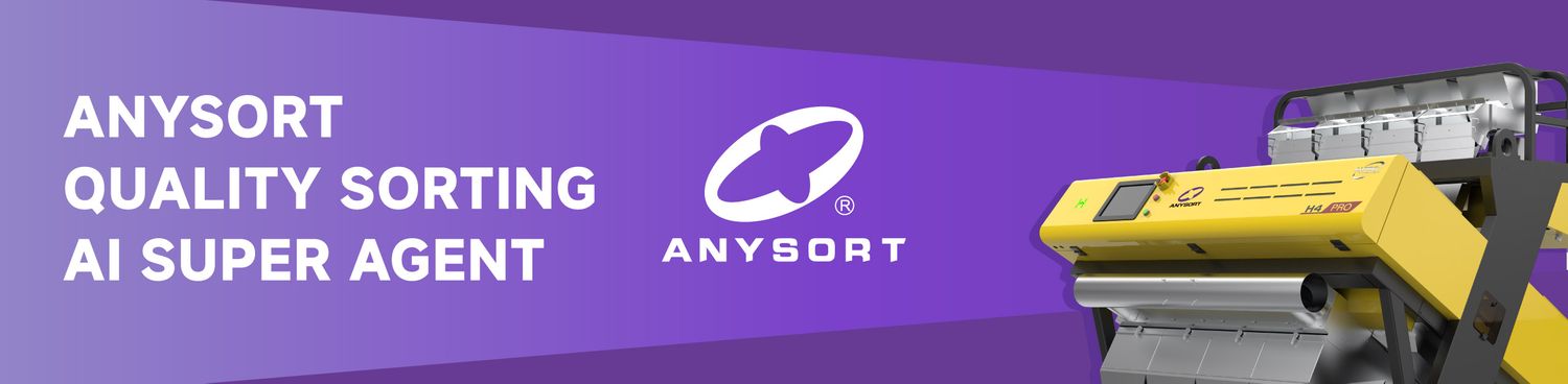 Cover image - ANYSORT