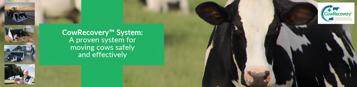 CowRecovery