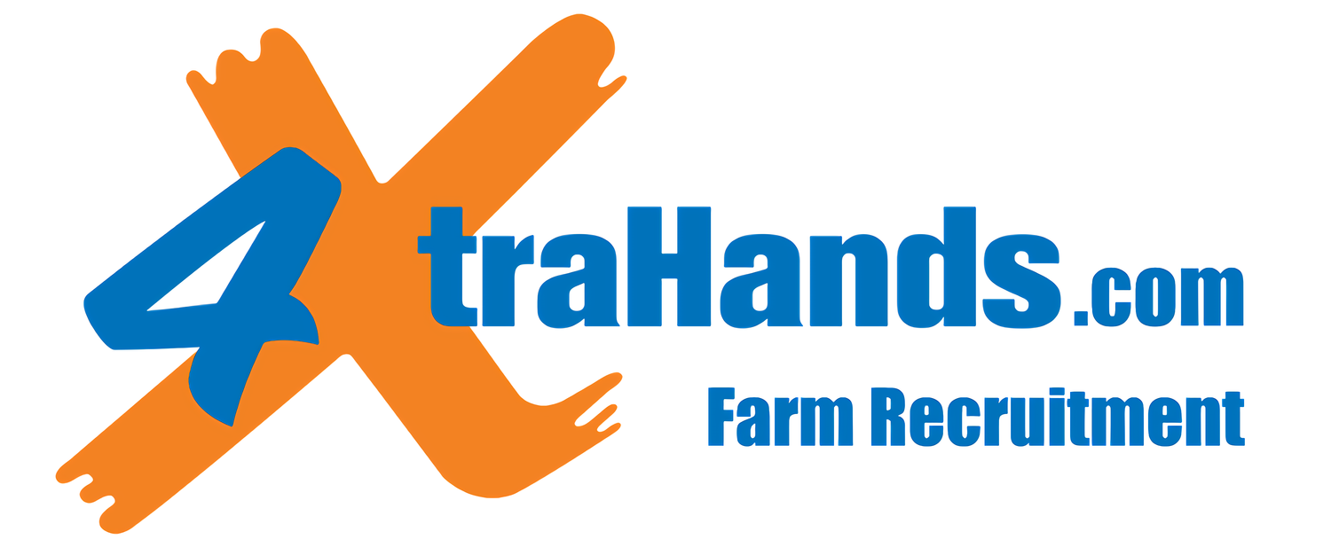 Cover image - 4 xtrahands