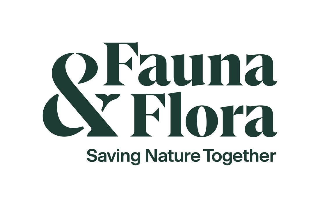 Cover image - Fauna & Flora