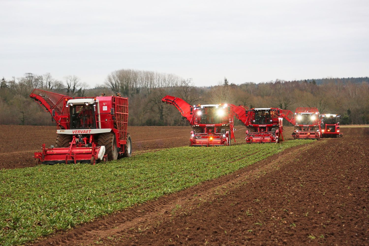 Cover image - J Riley Beet Harvesters Ltd