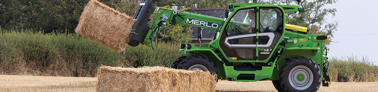 Cover image - Merlo
