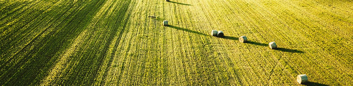 Cover image - Farmcomp