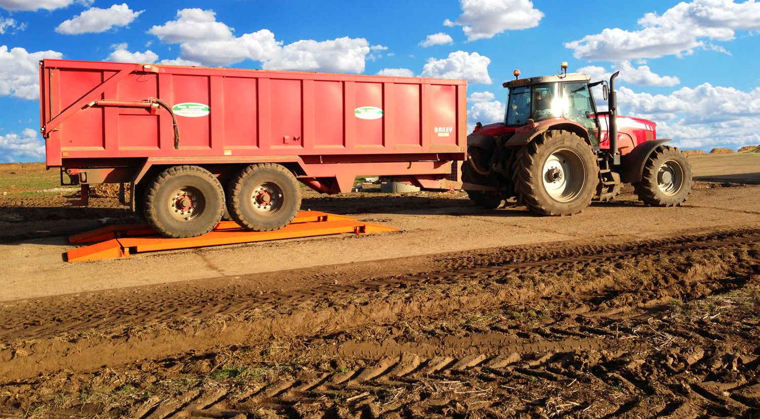 Cover image - Griffith Elder & Company Ltd