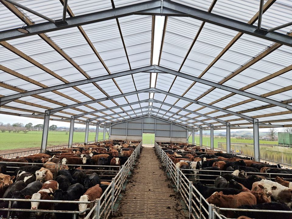 Cover image - Greenhill Systems Ltd