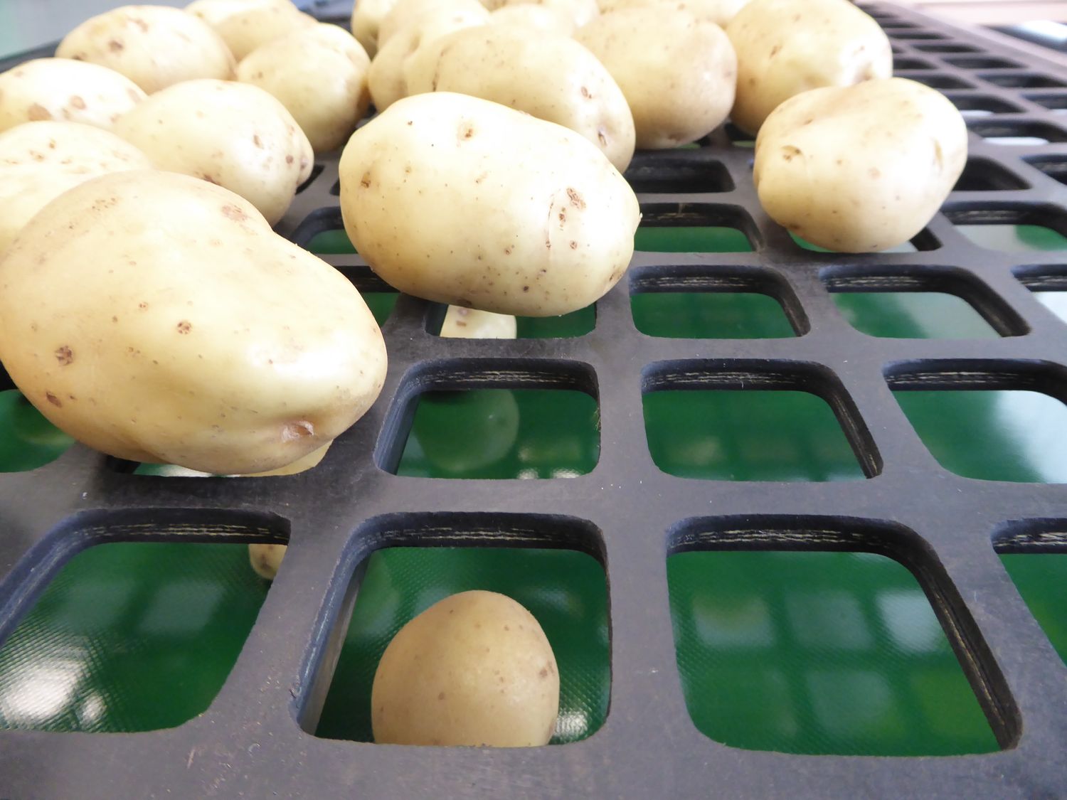 Cover image - Agri-Web Ltd