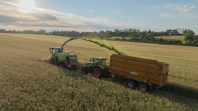 Cover image - Richard Western Ltd
