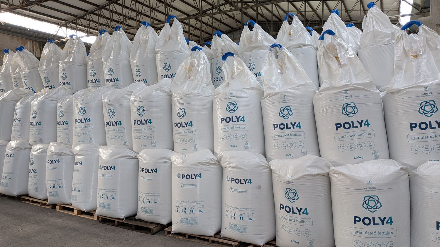 Cover image - POLY4