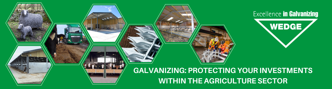 Cover image - Wedge Group Galvanizing Ltd
