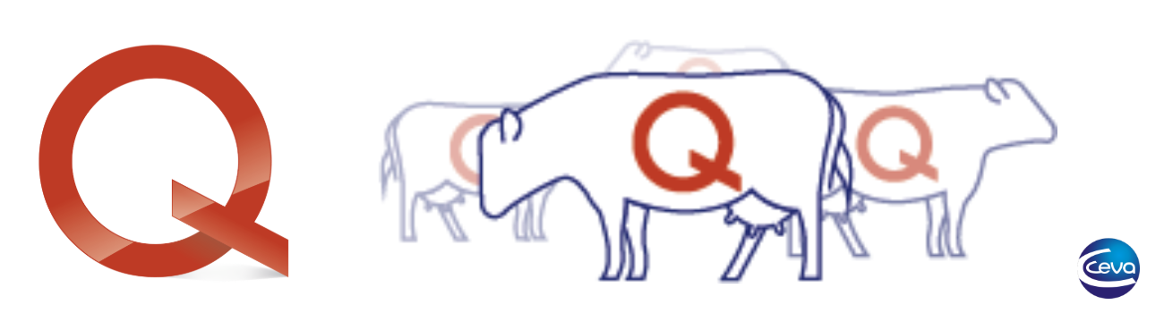 Cover image - Ceva Animal Health