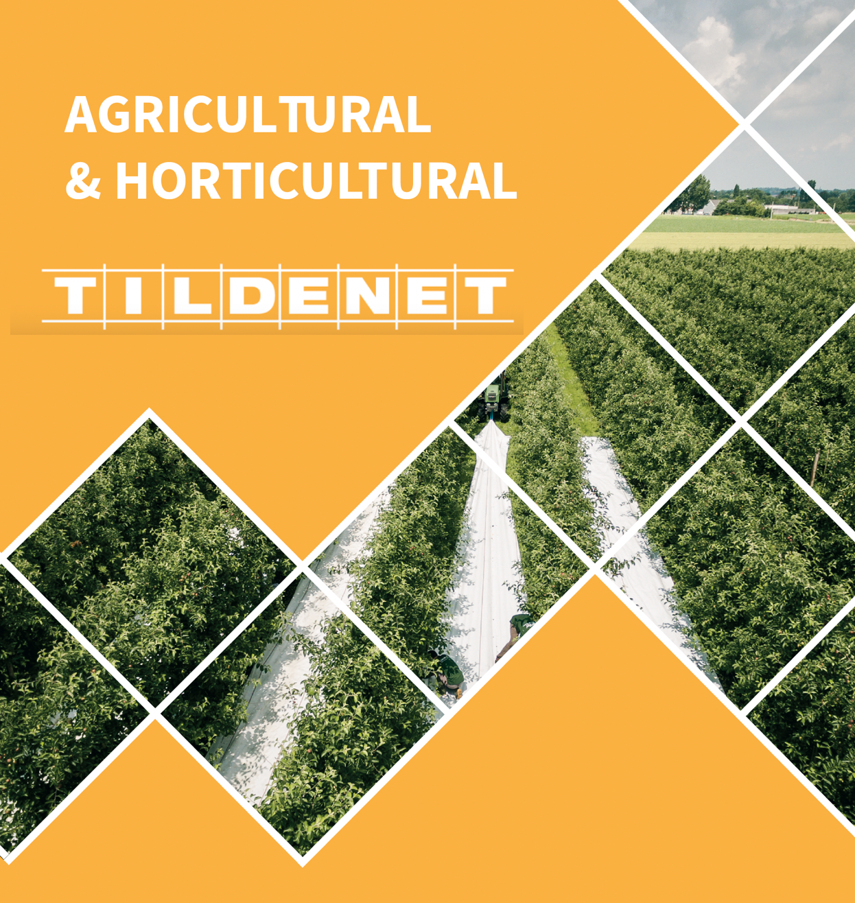 Cover image - Tildenet Ltd