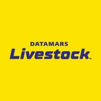 Company name - Datamars Livestock