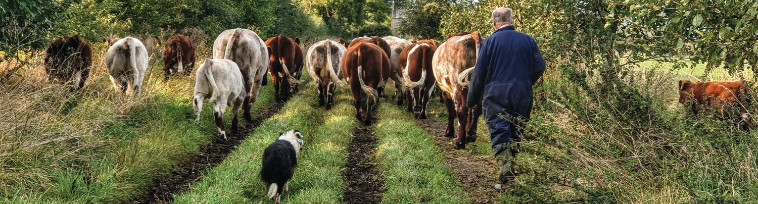 Cover image - RABI – The Farmers Charity