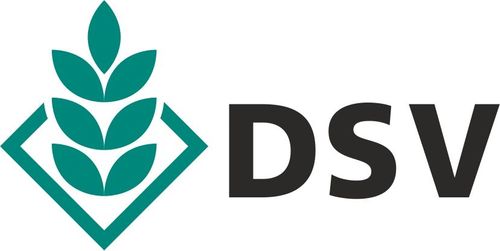 DSV UK Ltd