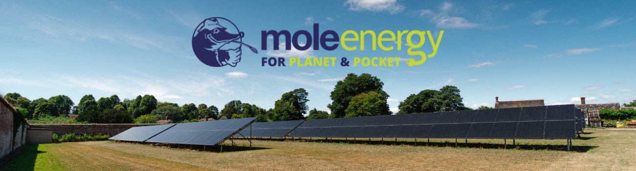 Cover image - Mole Energy Ltd