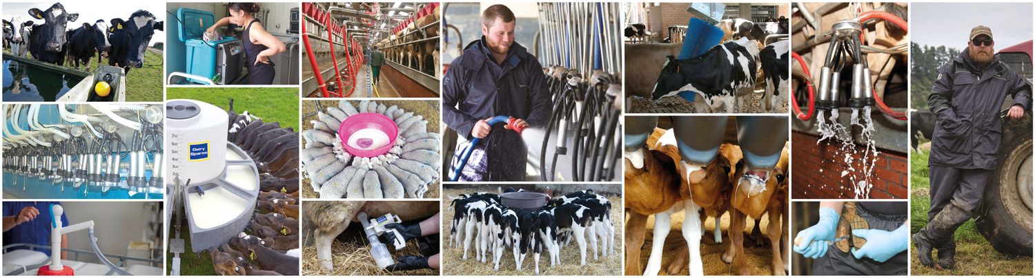 Cover image - Dairy Spares