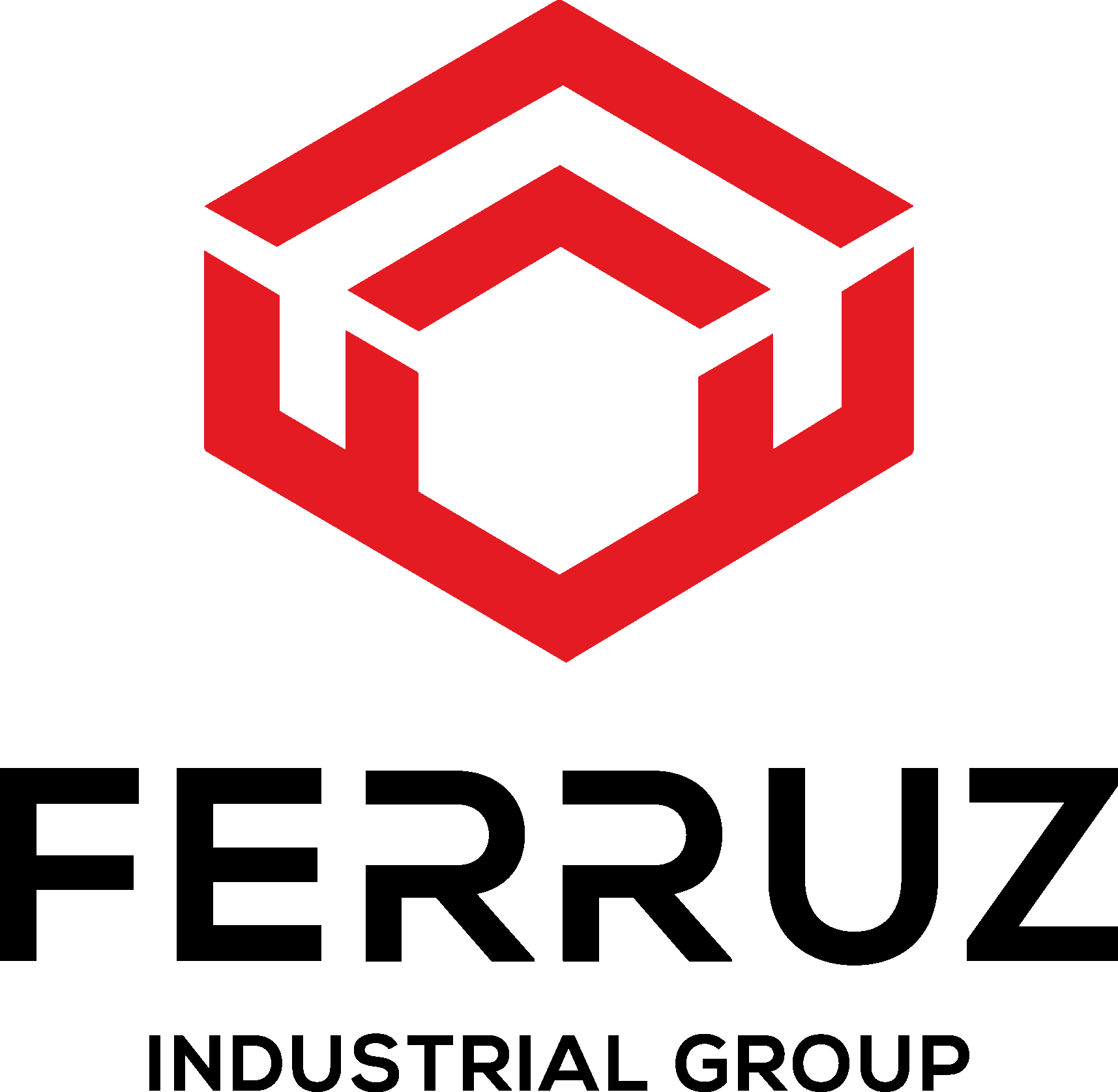 Company name - Ferruz Industrial Group