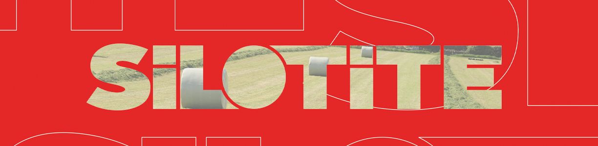 Cover image - Silotite