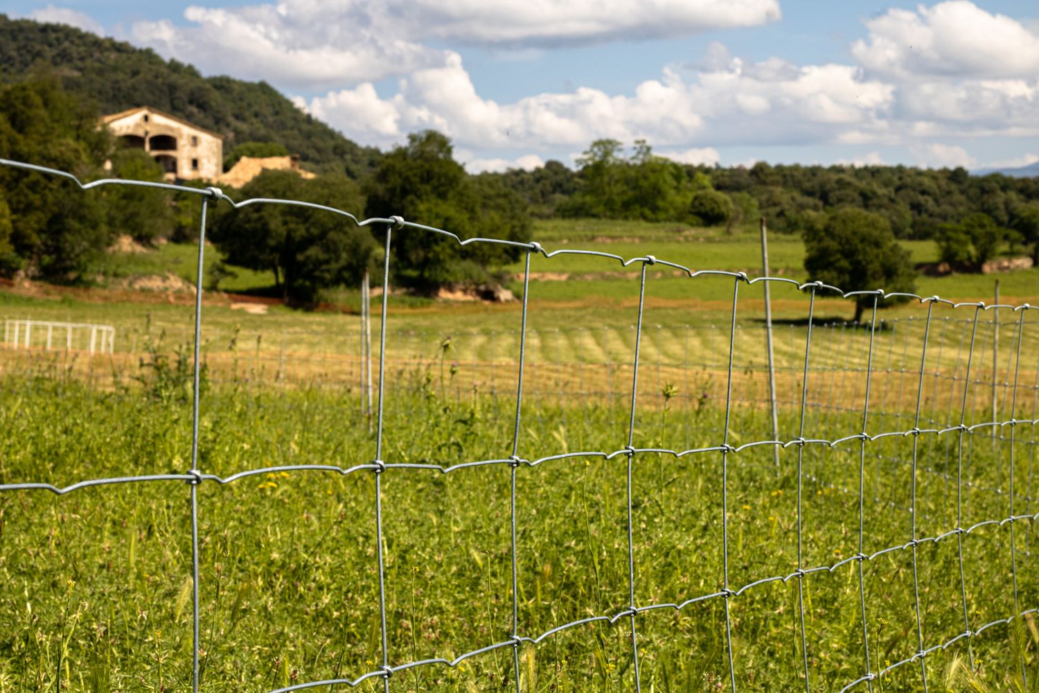 Cover image - MRT Fencing