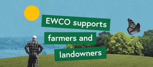 How the England Woodland Creation Offer (EWCO) Works