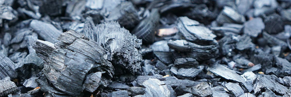 Agrecalc launches biochar module with Black Bull Biochar
